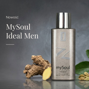 JFENZI  My Soul Ideal man  ( EDP ) Мъжка парфюмна вода аналог на YSL MYSLF L'Absolu - 100 ml